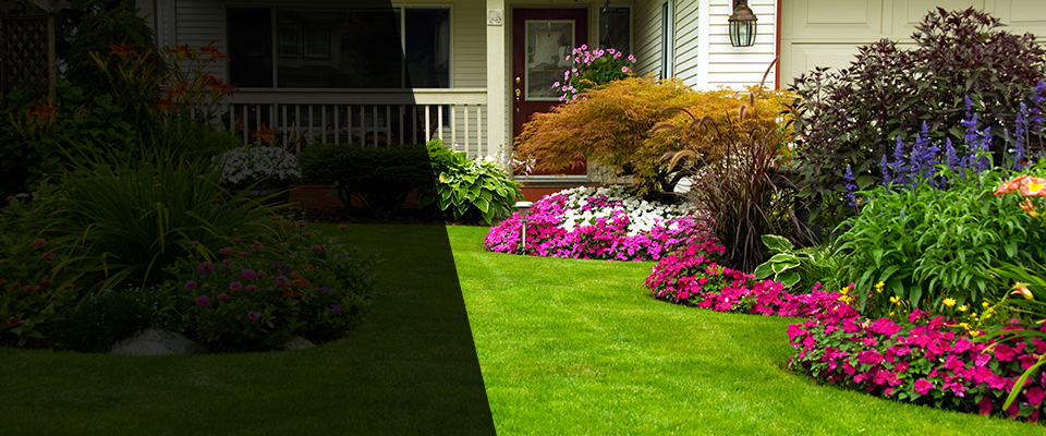 Sneads Landscapers